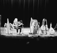Aryeh Frankfurter & Lisa Lynne: Celtic Harps, Rare Instruments & Wondrous Stories
