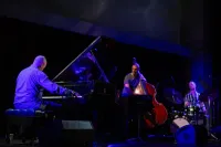 Greg Murphy Trio