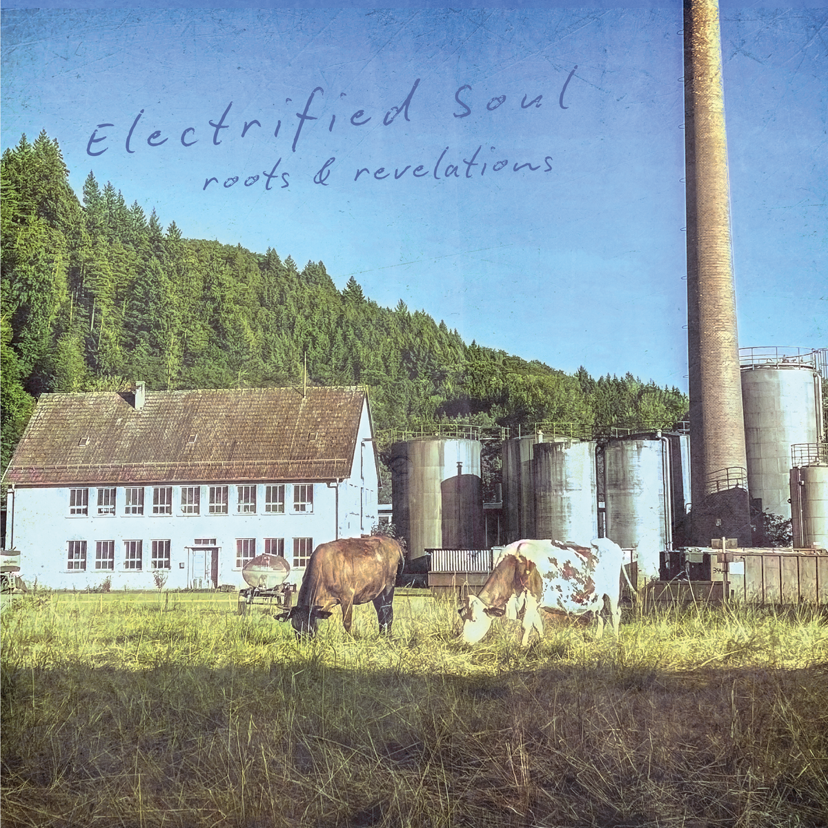 Roots & Revelations: Roots & Revelations CD