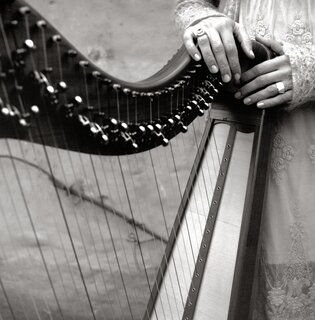 Photo by Christy McNamara
