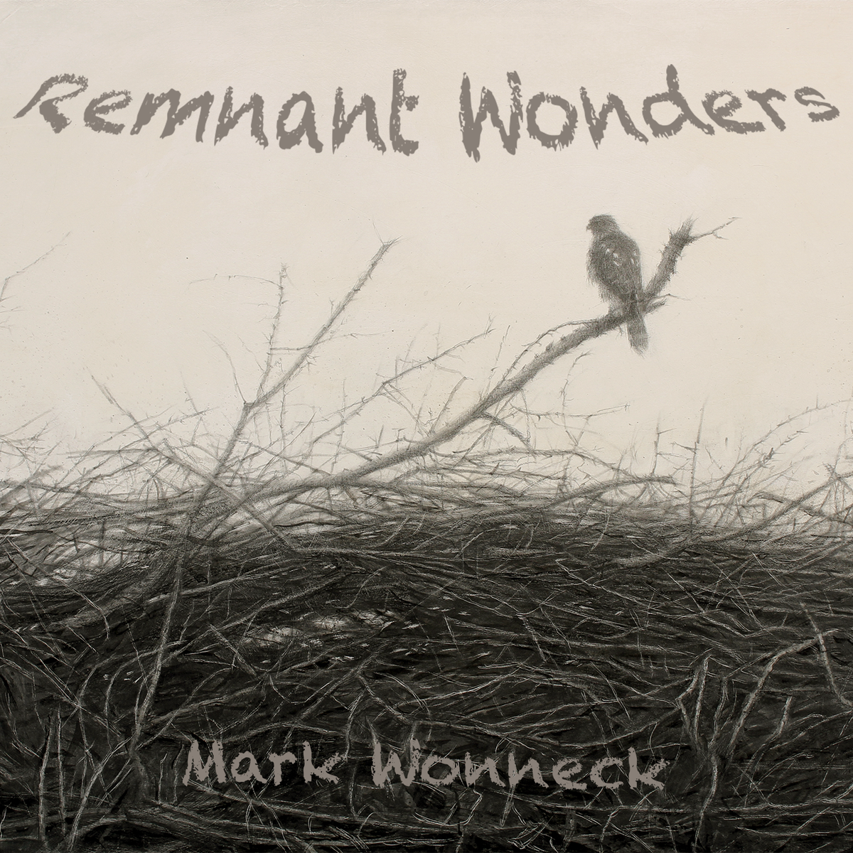 Remnant Wonders - CD