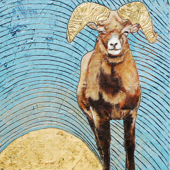 Sunsheep - Kurtis Eugene
