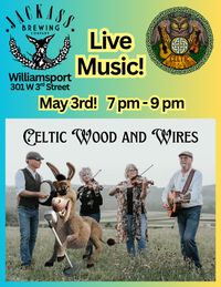 Celtic Wood and Wires at Jackass Brewing Company - Williamsport