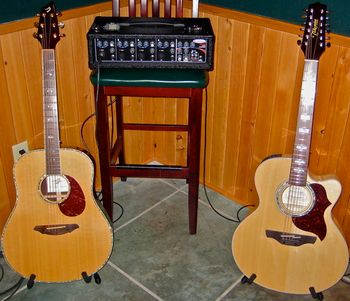 The Breedlove and Takamine...
