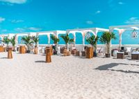 Seaglass Rose Experience