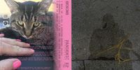 Pandemic EP - Printed Album Artwork