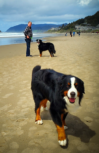 Berners, Beach, and Brew