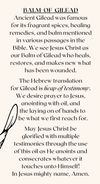 Anointing Oil