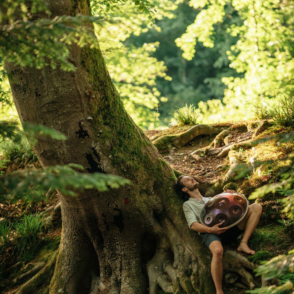 Alexander Mercks lehnt mit Handpan an einem Baum im Wald – 1:1-Session: eigenen Handpan-Song komponieren und aufnehmen