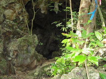 Entrance to the cave...
