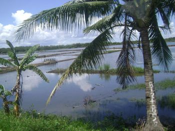 This is a fish farm...
