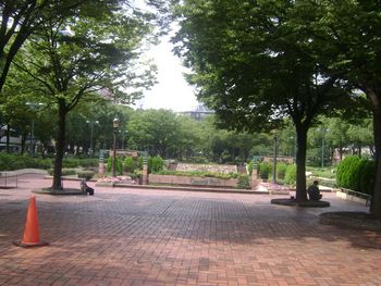 Local mini Park..
