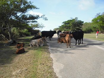 Hmmmm... looks like a little traffic...

