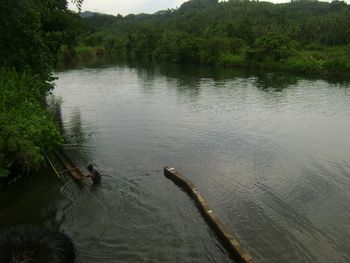 Preparing for a two hour boat ride down a river on the Visayan Islands in the Philippines...
