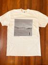 Jessie Gray T  