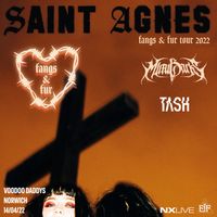Supporting Saint Agnes