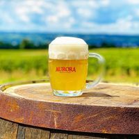 Mike Lucey Acoustic at Aurora Brewing