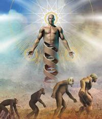 Wasi Townsend