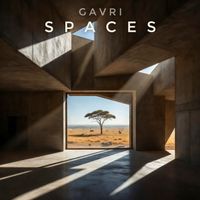 Spaces by Gavri