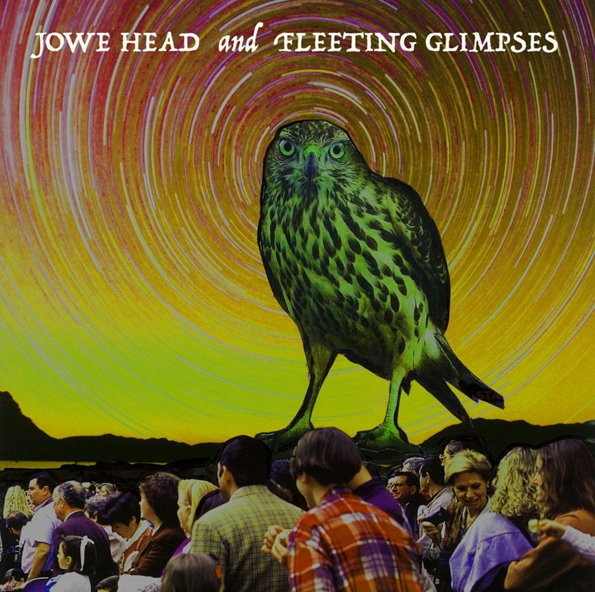 Jowe Head & Fleeting Glimpses:  "Rotten Wood" - 7 inch Vinyl