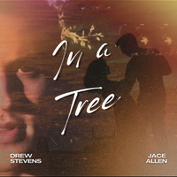 In A Tree  by Drew Stevens | Jace Allen