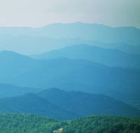 Carolina Concert Series