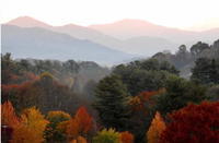 Cashiers Valley Leaf Festival