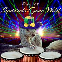 Squirrels Gone Wild by Pieces of 8