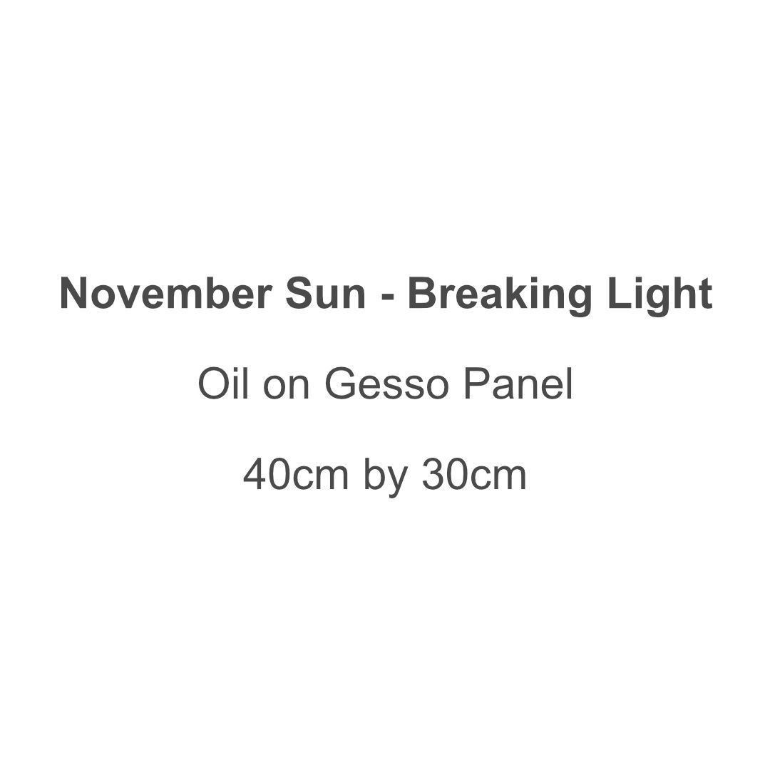 November Sun