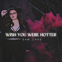 Wish You Were Hotter - Single by Sam Davs