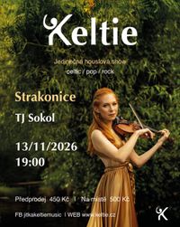 Celtic Violin Show