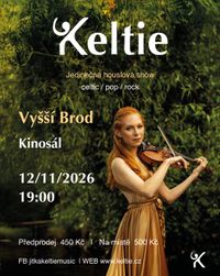 Celtic Violin Show