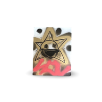 "SOL SVNNIE" - SPRAY PAINTING