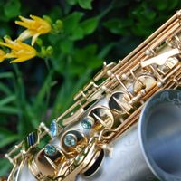 7 Minutes of Peace of Mind  by Vaughn Fahie Jazz