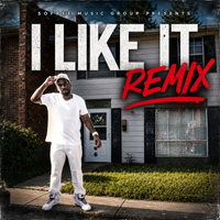 I Like It (Remix) by SoFree Music Group