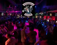 Probable Cause Rocks Patrick Molloys 