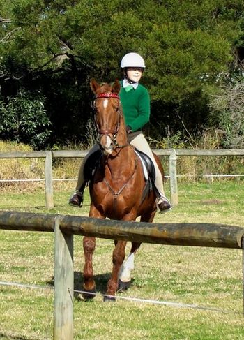 Perfecting Dressage
