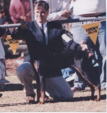 Ch Celestion Commanchee Moon AI winning at the Spring Fair
