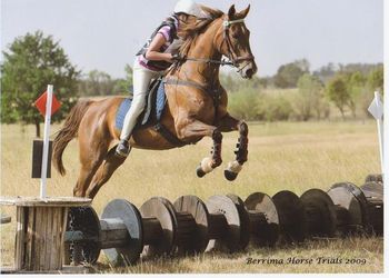 Cindy on the cross country run
