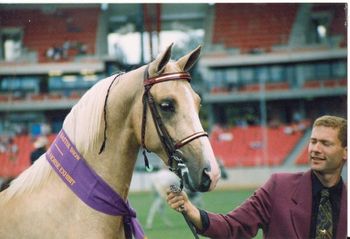 Lincoln winning at The Sydney Royal
