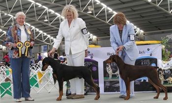 Winning at the Specialty Show
