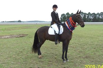 Wildmoor Irish Connection & Aimee
