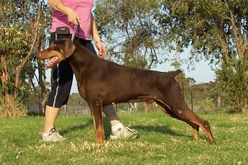 Brock at 11yrs
