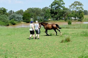 learning to lunge
