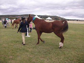 Cindy winning reserve
