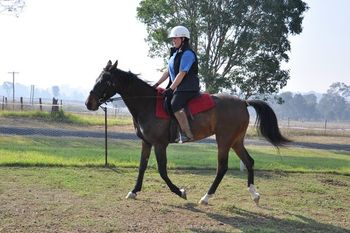 Murlyn's Absolutely Scandalous with bushfire smoke in the background
