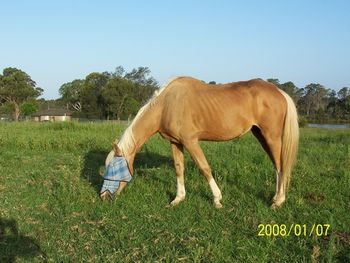 Dawn aged 32yrs
