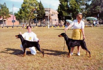 Celestion Commanchee Moon (AI) and handler
