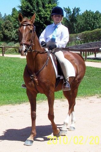 Sydney International equestrian Center
