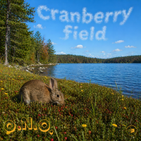Cranberry Field  by O.N.O